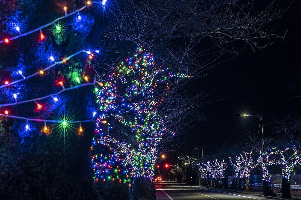 YONOMORIまち灯りイルミネーション